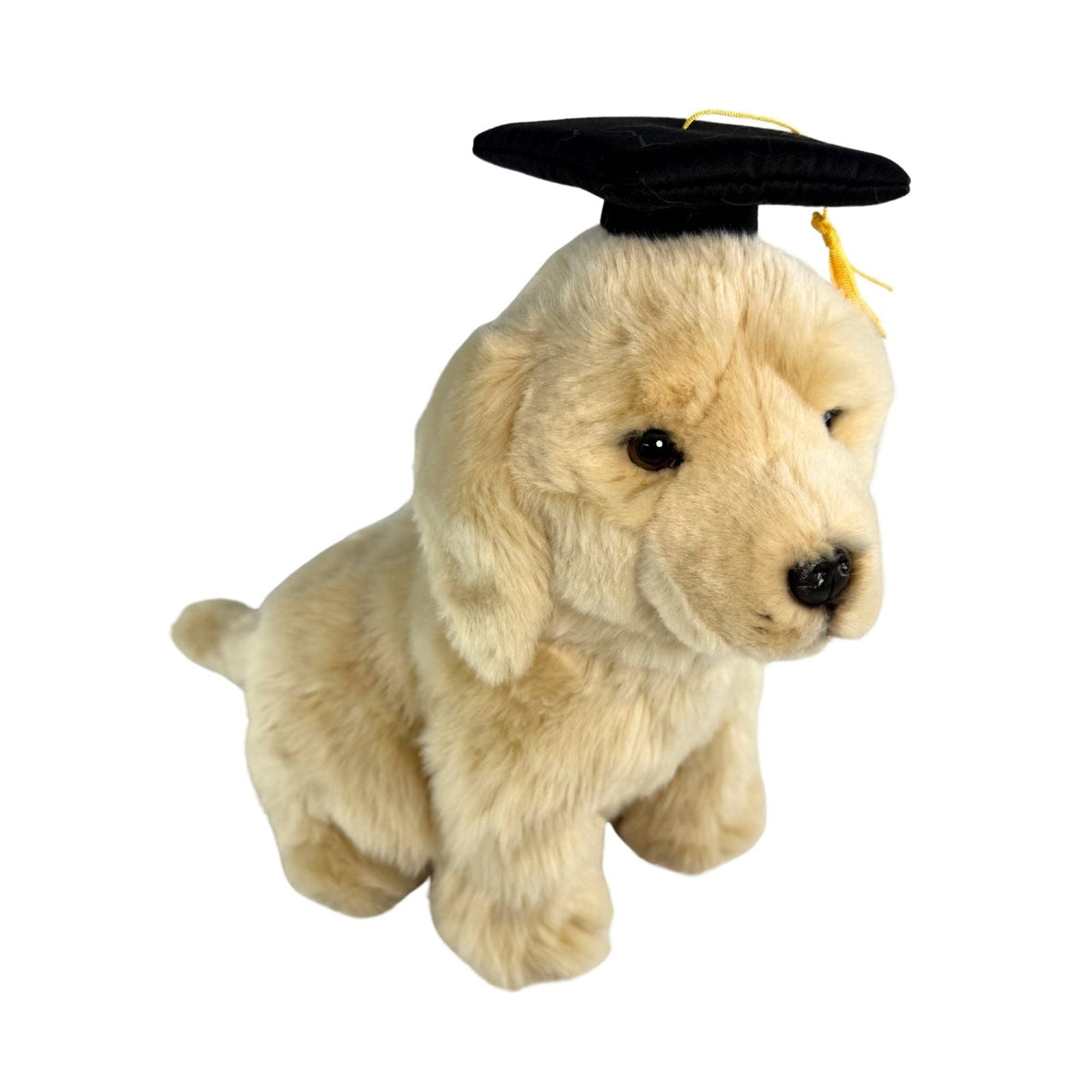 Bocchetta Chanel 28cm Sitting Graduation Golden Retriever Plush Toy (Stuffed Animal Dog Grad Gift)