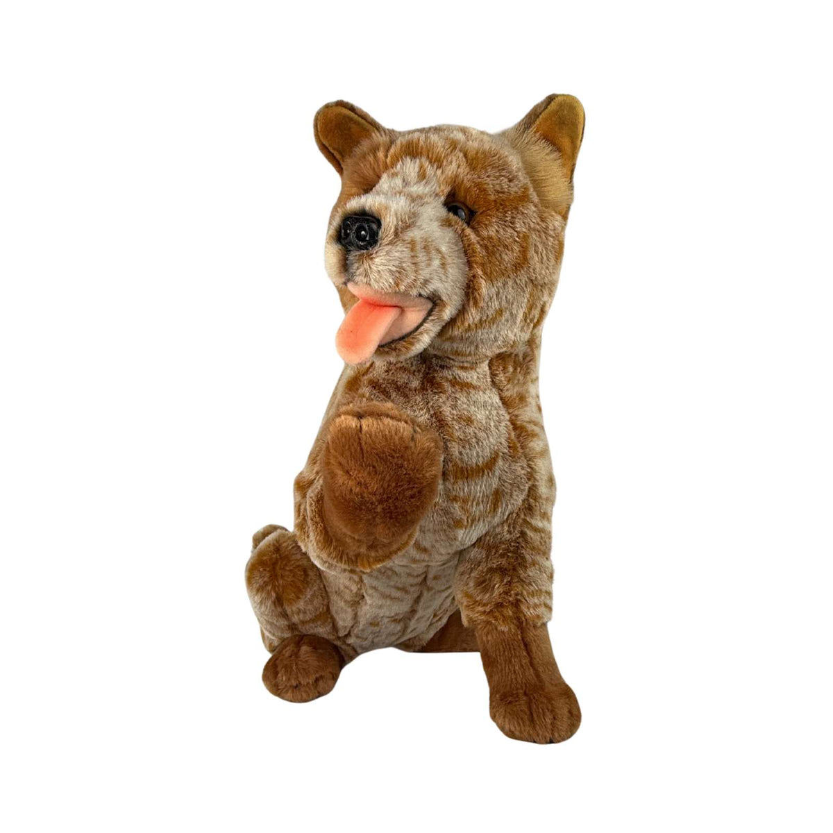 Bocchetta Copper 41cm Sitting Red Heeler Cattle Dog Plush Toy (Australian Stuffed Animal Gift)
