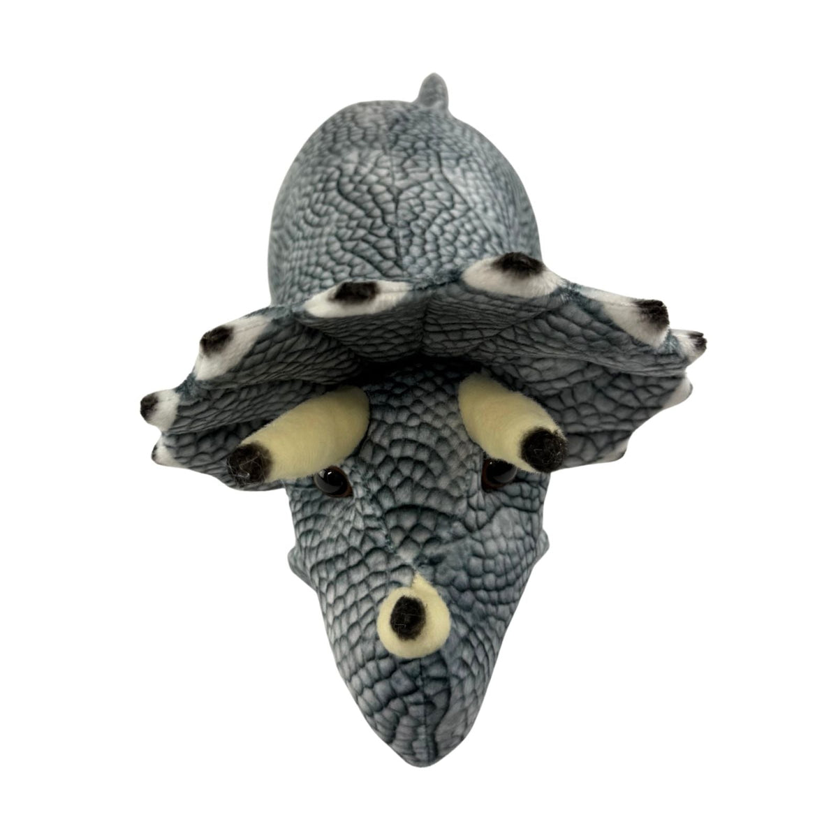 Bocchetta Crestor 33cm Triceratops Dinosaur Plush Toy (Realistic Stuffed Animal Dino Gift)