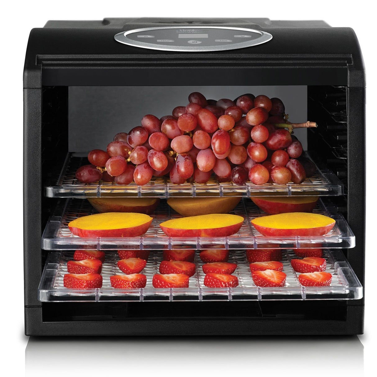 Sunbeam Food Lab Electronic Dehydrator with Mesh Tray Fruits Vegetable Dryer - Black - DT6000