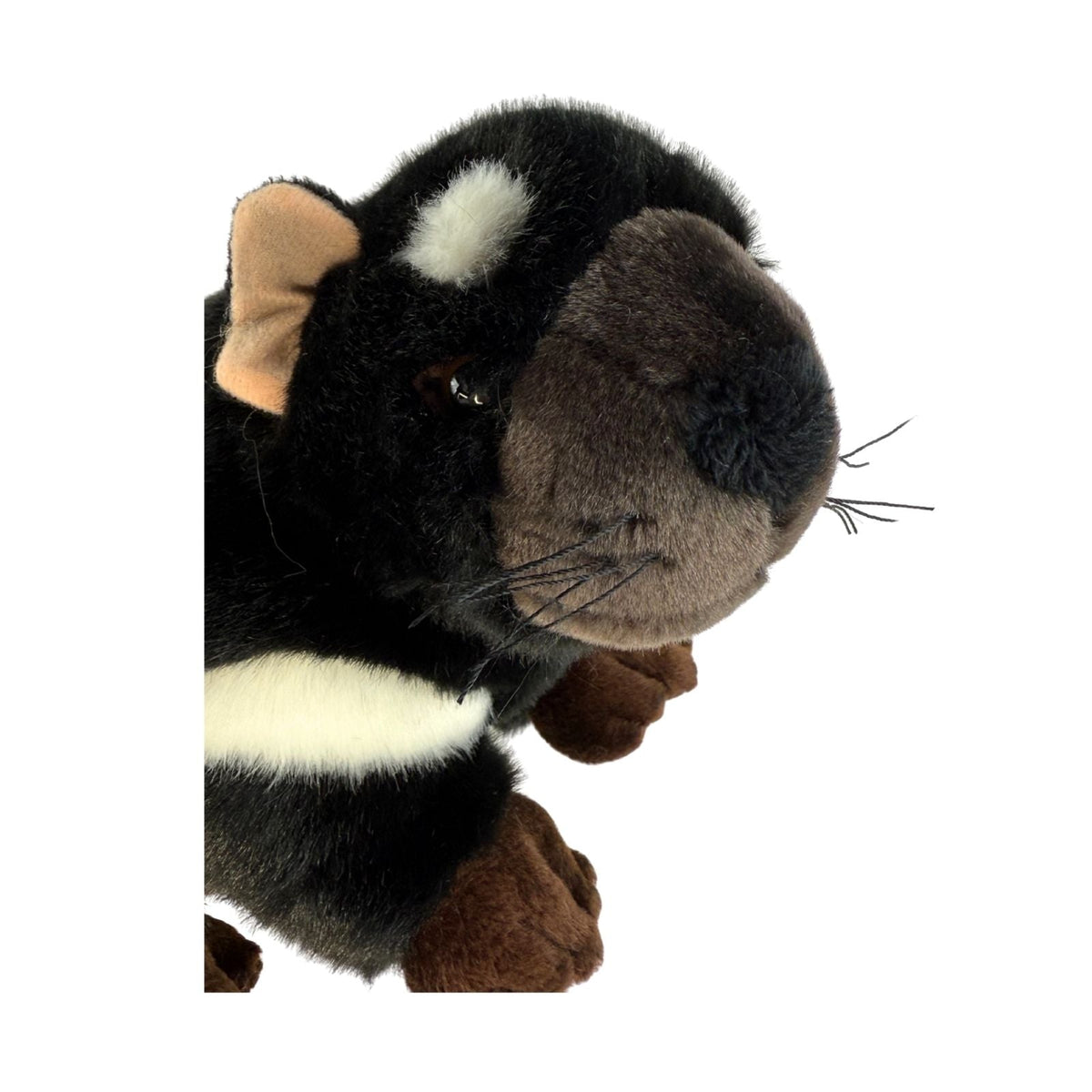 4x Bocchetta Diego 24cm Tasmanian Devil Plush Toy Bulk Pack (Australian Stuffed Animal Souvenir Gift)