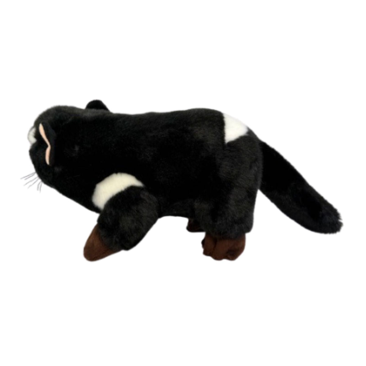 Bocchetta Diego 24cm Tasmanian Devil Plush Toy (Australian Stuffed Animal Souvenir Gift)