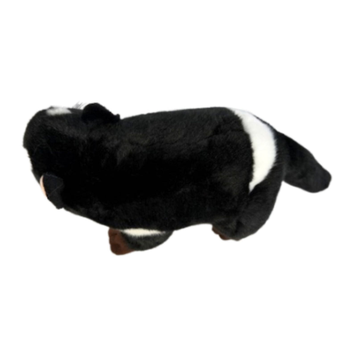 4x Bocchetta Diego 24cm Tasmanian Devil Plush Toy Bulk Pack (Australian Stuffed Animal Souvenir Gift)