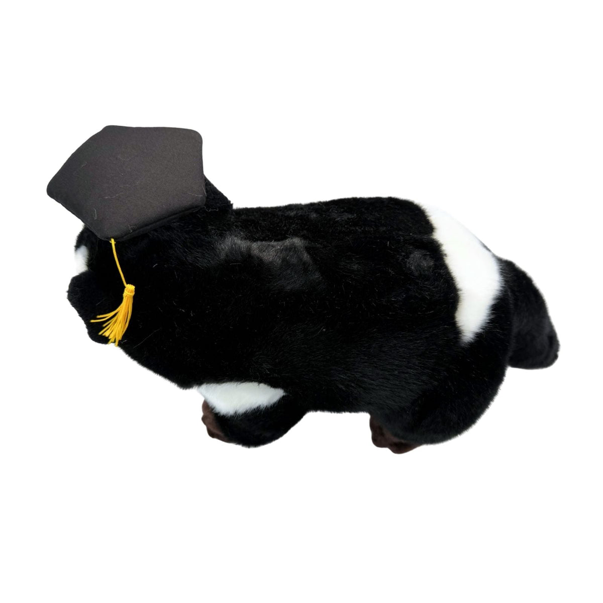 Bocchetta Diego 24cm Graduation Tasmanian Devil Plush Toy (Stuffed Animal Grad Gift)