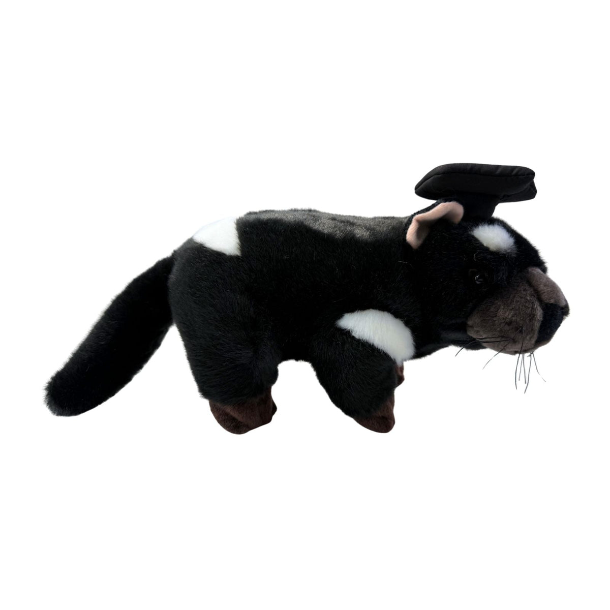 4x Bocchetta Diego 24cm Graduation Tasmanian Devil Plush Toy Bulk Pack (Stuffed Animal Grad Gift)