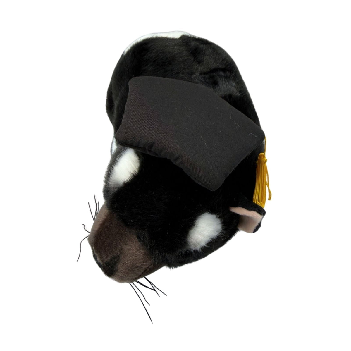 4x Bocchetta Diego 24cm Graduation Tasmanian Devil Plush Toy Bulk Pack (Stuffed Animal Grad Gift)