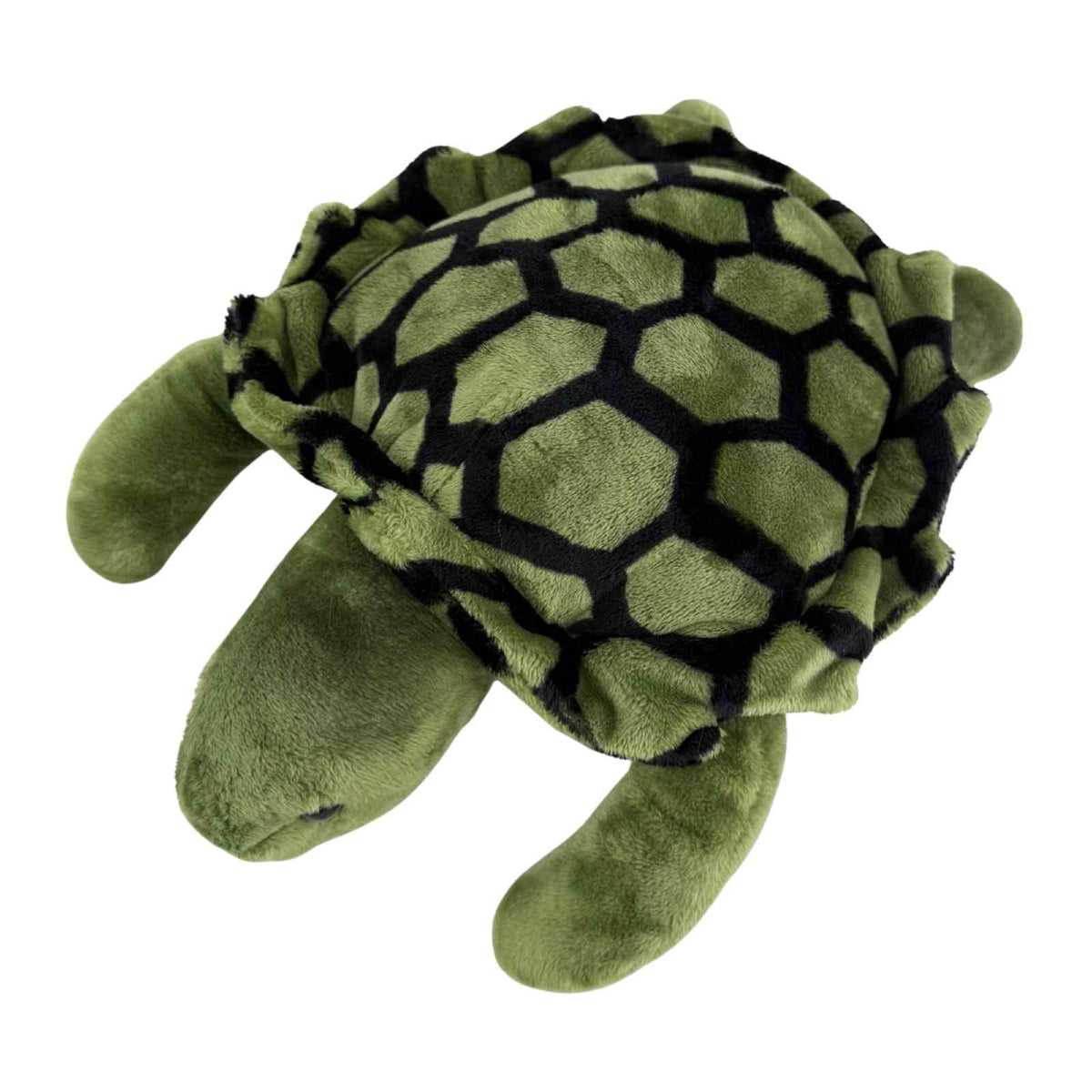 Bocchetta Doug 27cm Turtle Plush Toy (Realistic Stuffed Animal Sea Life Gift)