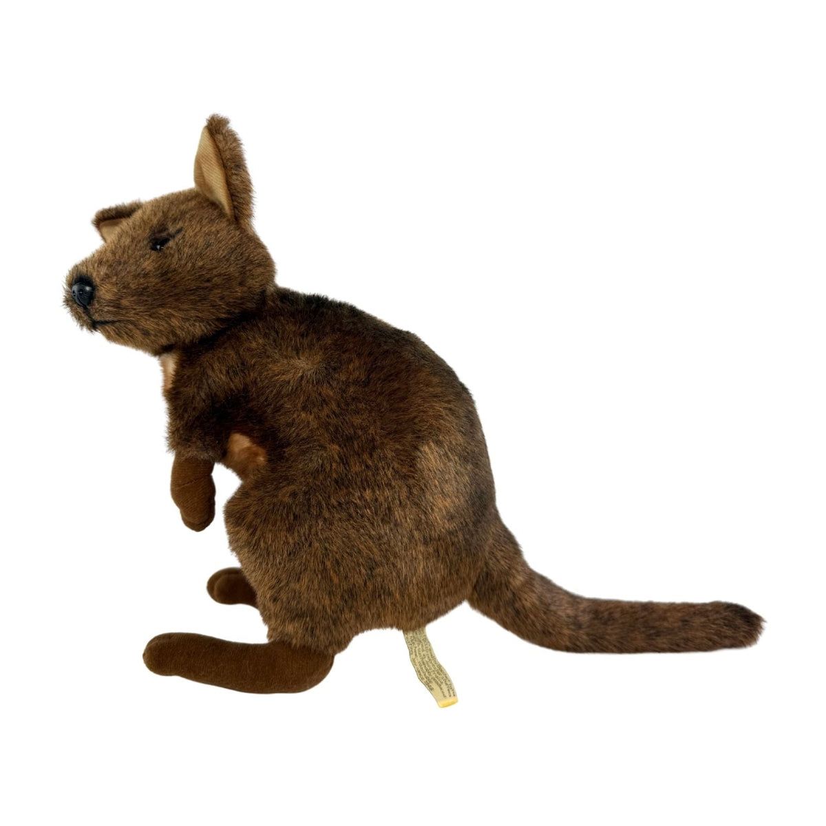 Bocchetta Dusky 27cm Pademelon Plush Toy (Australian Stuffed Animal Souvenir Gift)