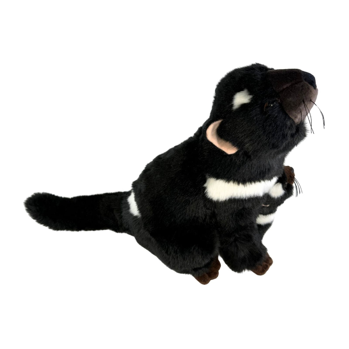 Bocchetta Ebony & Zippy 28cm Tasmanian Devil with Baby Plush Toy (Australian Stuffed Animal Souvenir Gift)