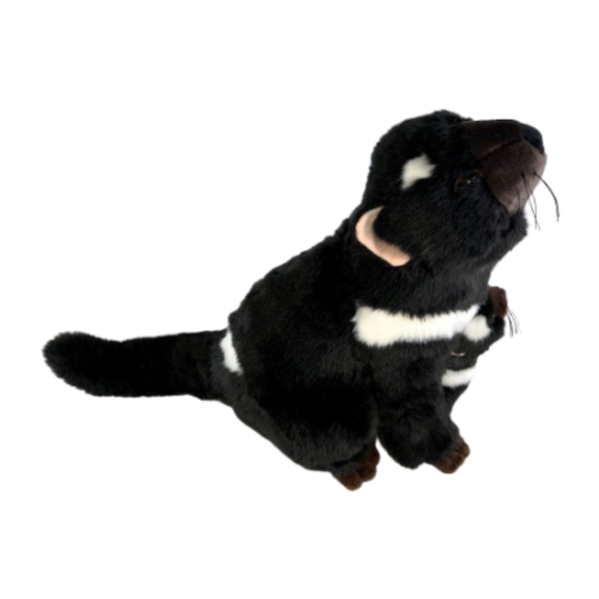 Bocchetta Ebony & Zippy 28cm Tasmanian Devil with Baby Plush Toy (Australian Stuffed Animal Souvenir Gift)