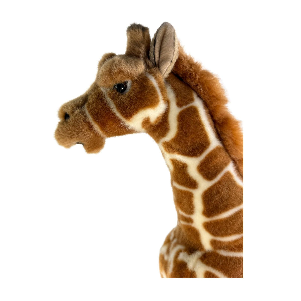 Bocchetta Elliot 37cm Giraffe Plush Toy (Realistic Stuffed Animal Wildlife Gift)