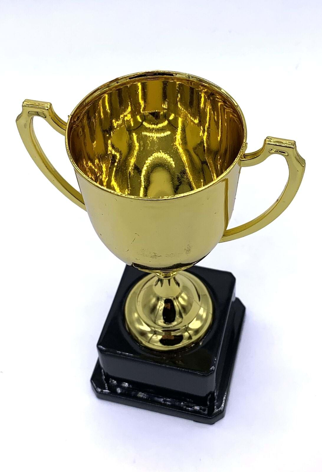 Gold Trophy Cup - School Sports Day Winners/Events Award