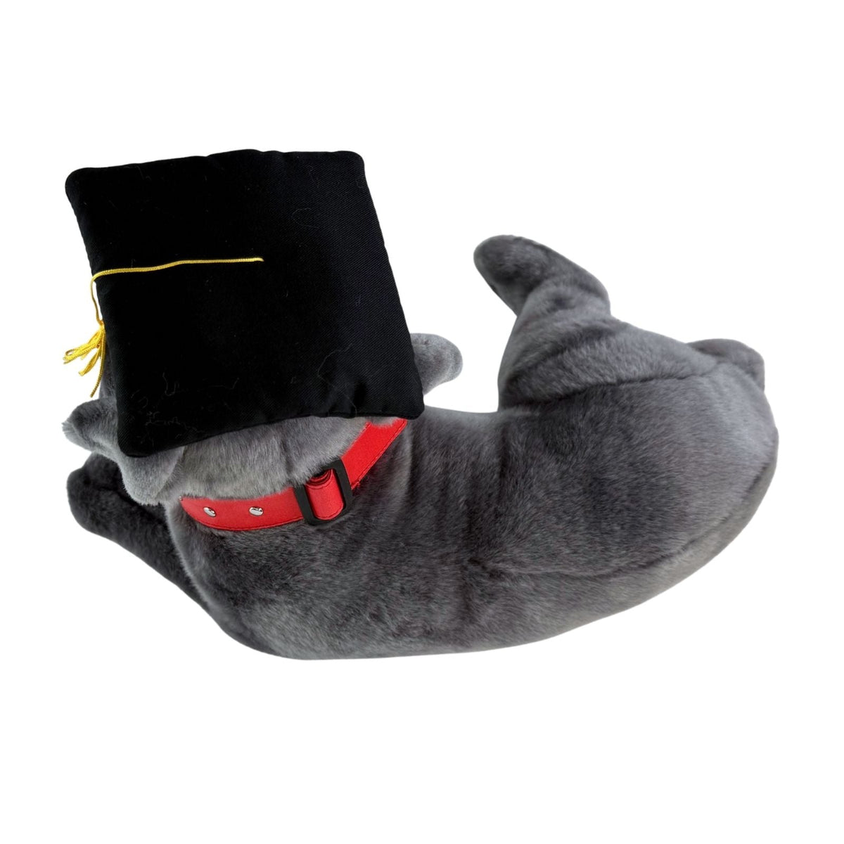 Bocchetta Flint 35cm Lying Graduation Staffy Plush Toy - Grey (Stuffed Animal Dog Grad Gift)