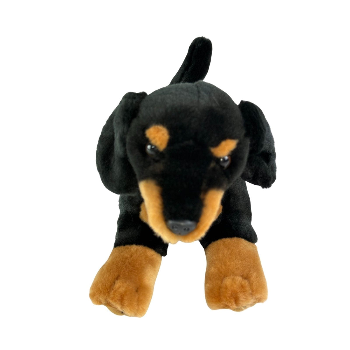 Bocchetta Frankie 30cm Floppy Dachshund Puppy Plush Toy - Black/Tan (Realistic Stuffed Animal Dog Gift)