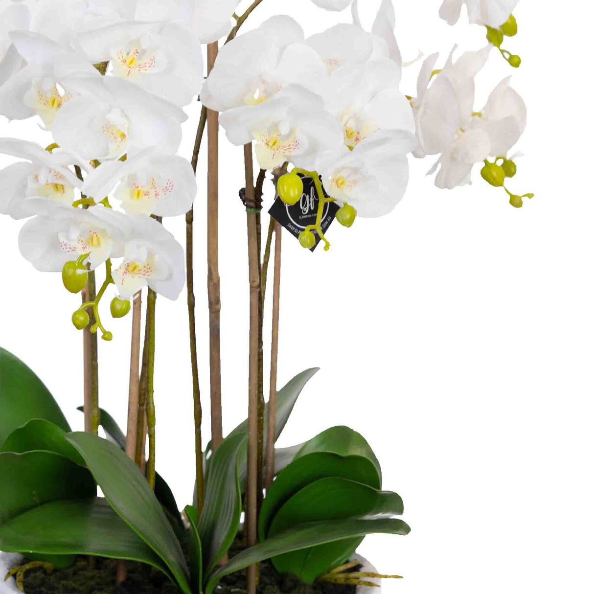 55cm Phalaenopsis Orchid Artificial Potted Plant - White (Faux Floral Decor Home/Office)