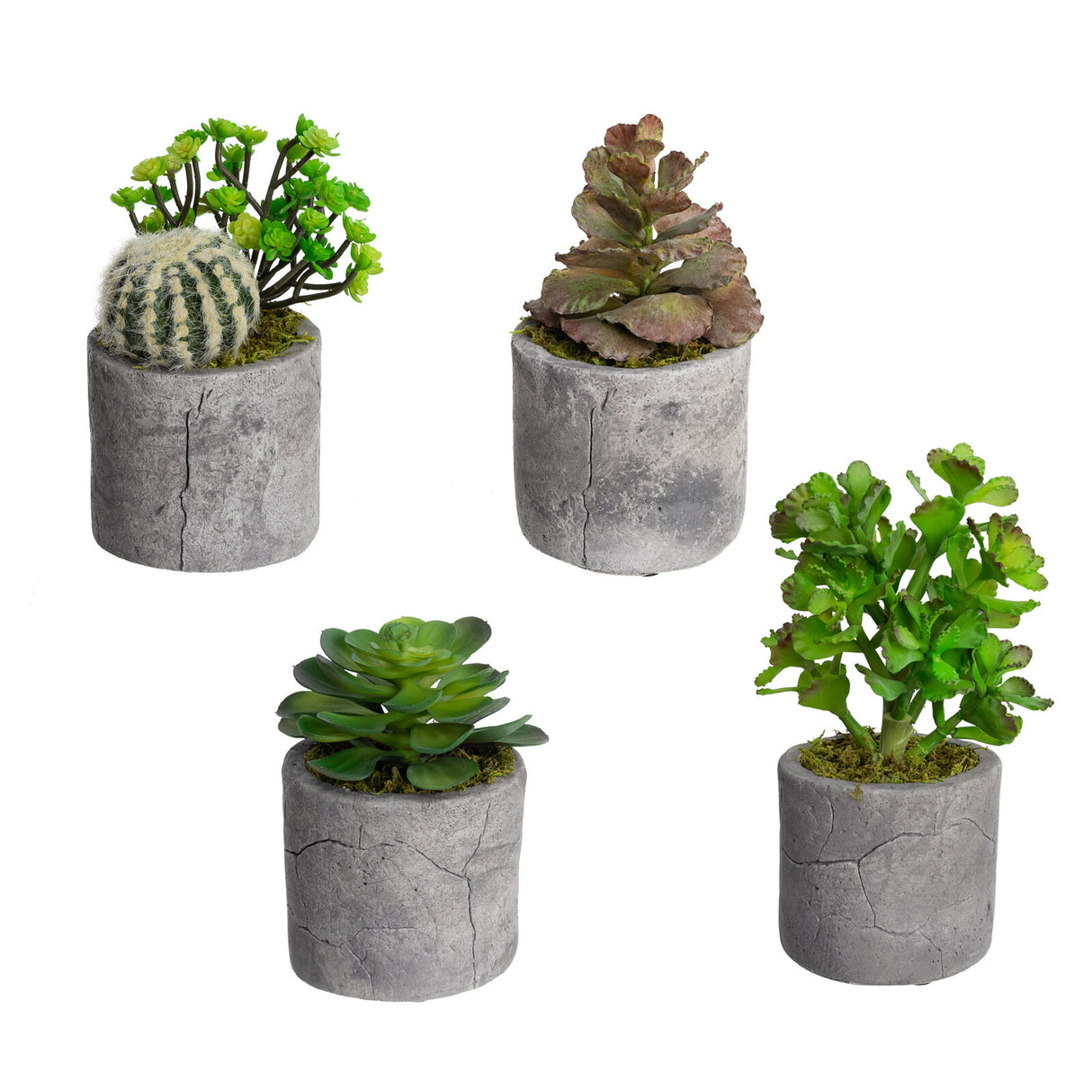 Assorted Succulents in Pot Set of 4pcs Artificial Green Plant Flower Cactus