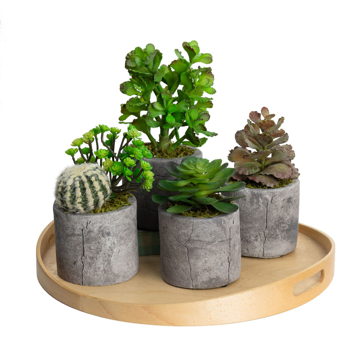 Assorted Succulents in Pot Set of 4pcs Artificial Green Plant Flower Cactus