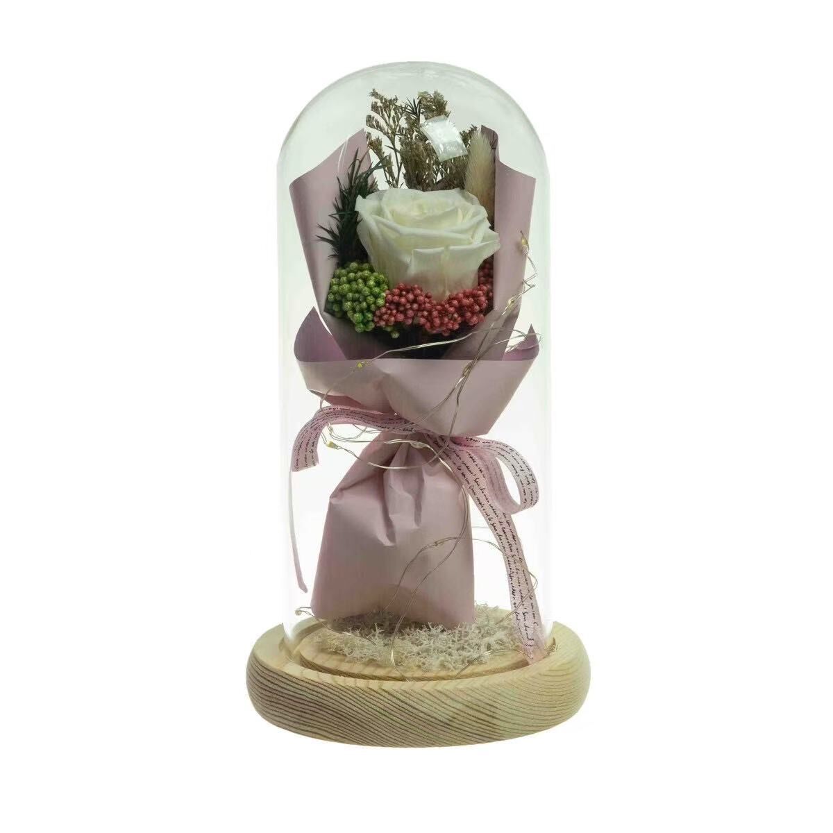 Preserved Dried Rose Flower 21cm Floral Set in Glass Dome w/ Fairy Lights in White Cream