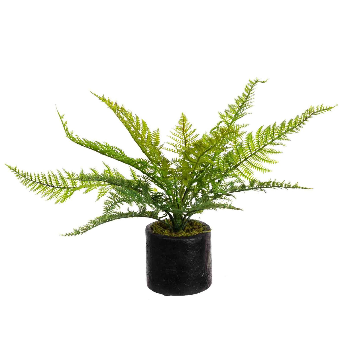 Set of 2 Leather Fern in Pot Potted Artificial Flower Green Plant