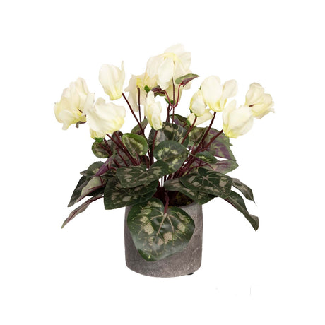 34cm Potted Faux Cyclamen Plant in Pot Artificial Flower Plant Decor - Cream