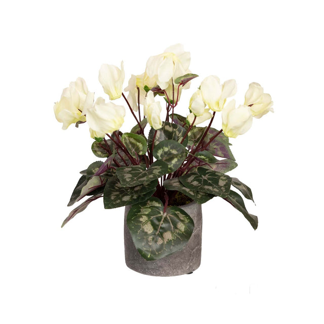 34cm Potted Faux Cyclamen Plant in Pot Artificial Flower Plant Decor - Cream