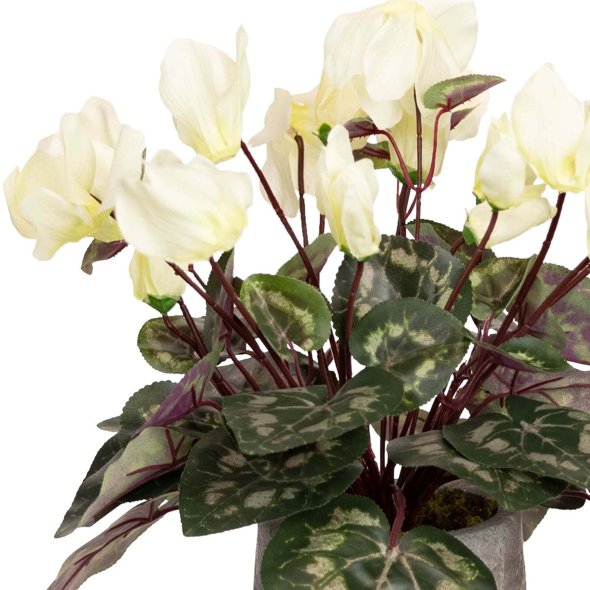 34cm Potted Faux Cyclamen Plant in Pot Artificial Flower Plant Decor - Cream