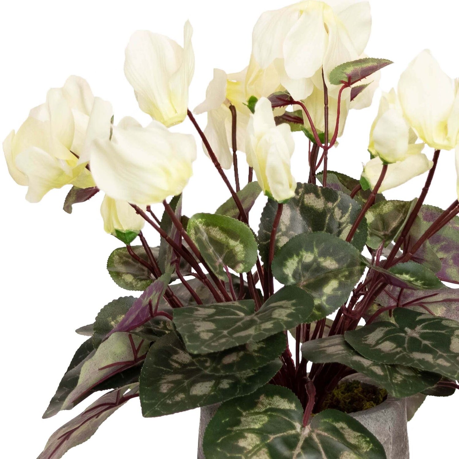 34cm Potted Faux Cyclamen Plant in Pot Artificial Flower Plant Decor - Cream