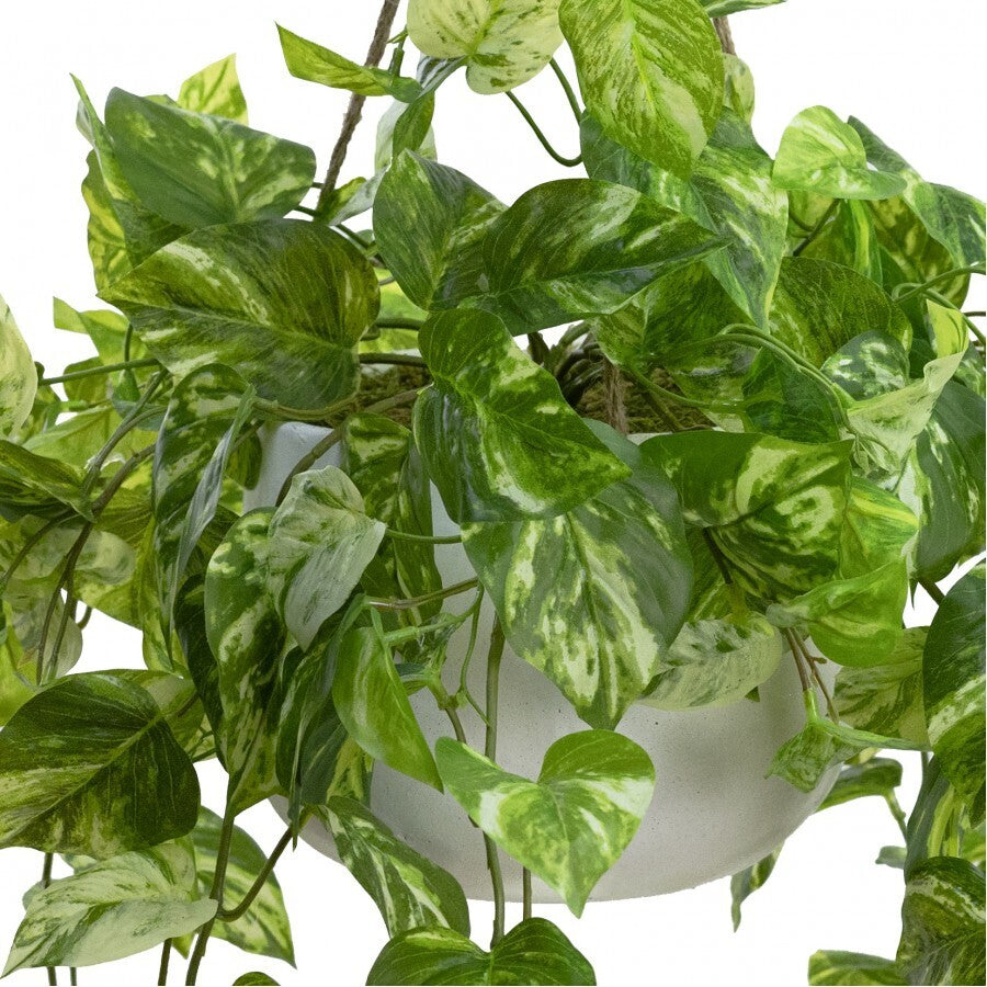 104cm Faux Marble Pothos Bush in Hanging Planter Tabletop and/or Hanging Display