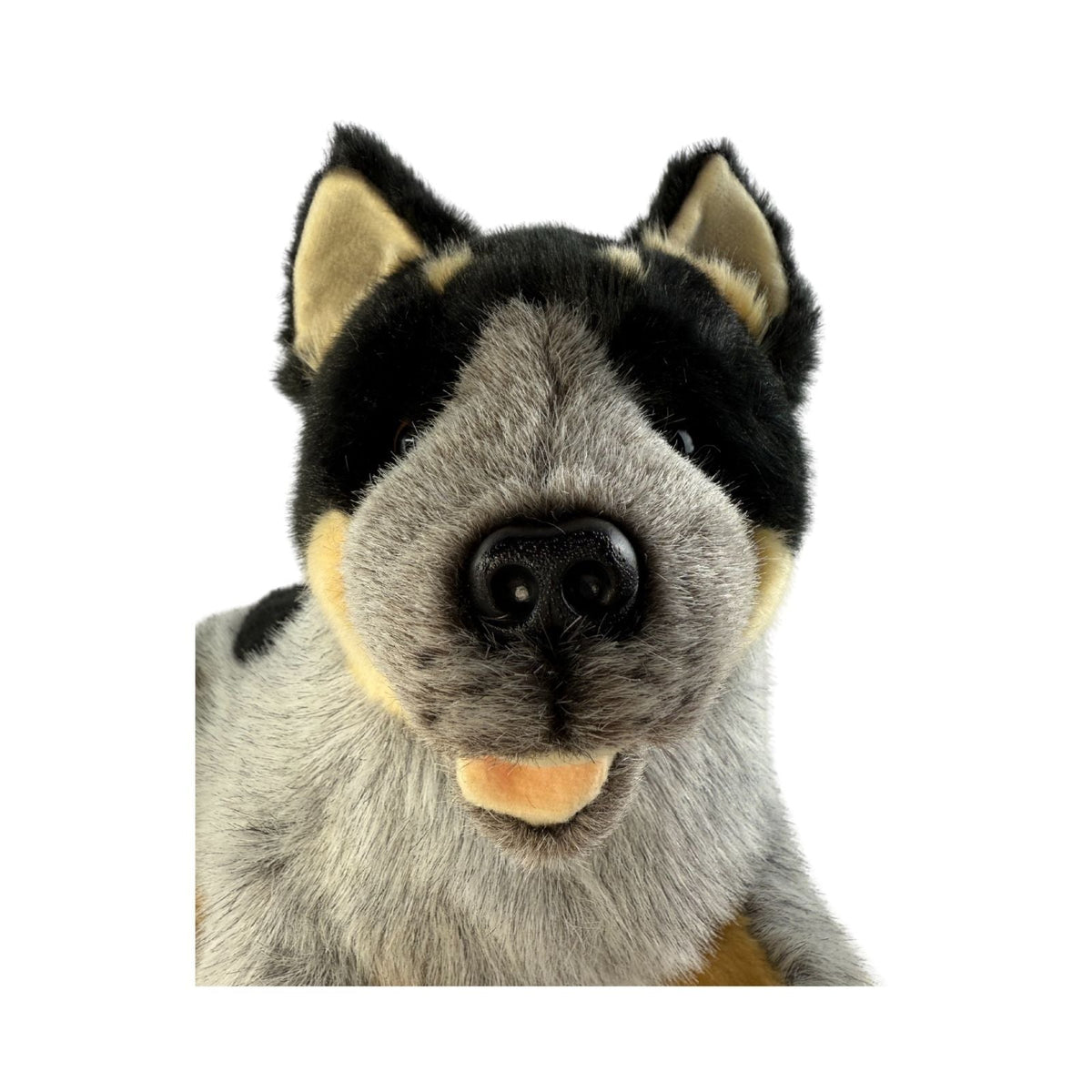 Bocchetta Gallagher 35cm Lying Blue Heeler Cattle Dog Plush Toy (Australian Stuffed Animal Gift)