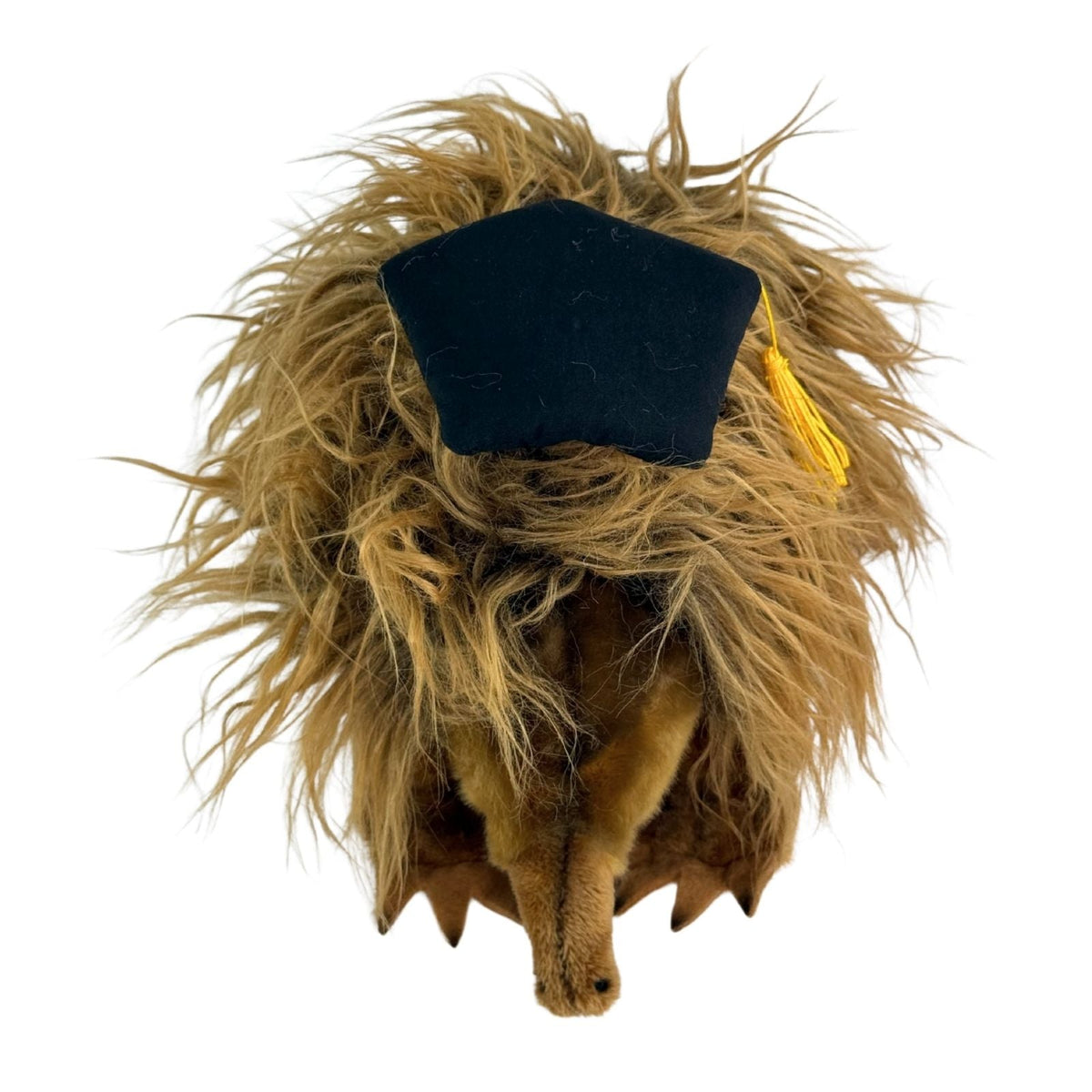 Bocchetta Harry 24cm Graduation Echidna Plush Toy (Stuffed Animal Grad Gift)