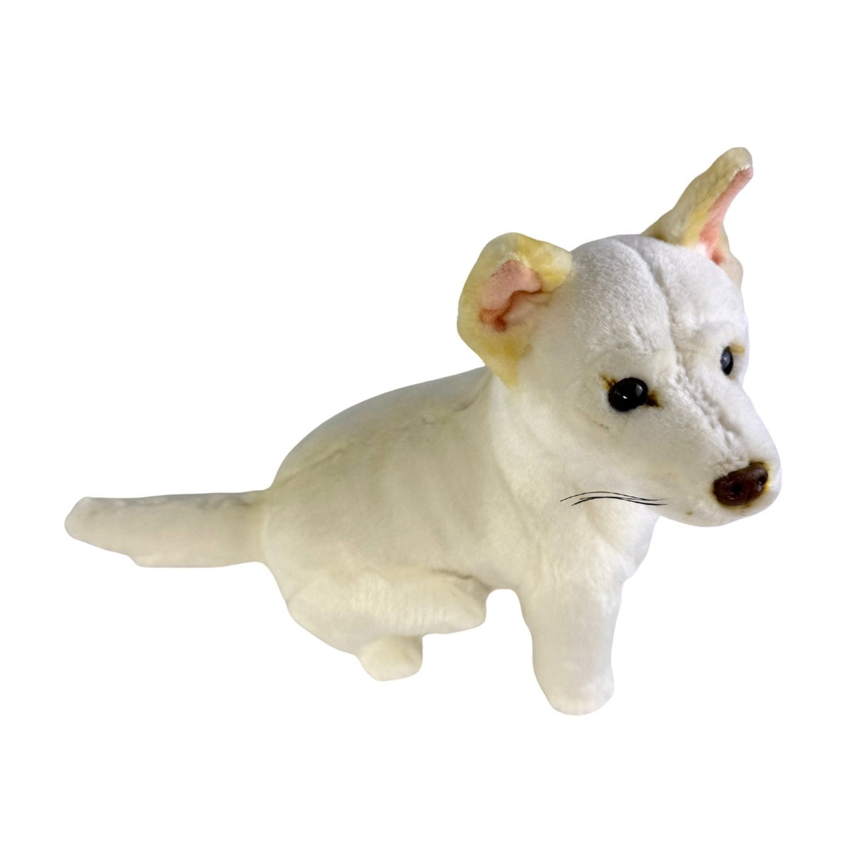 Bocchetta Ivory 25cm Sitting Dingo Plush Toy - White (Australian Stuffed Animal Souvenir Gift)