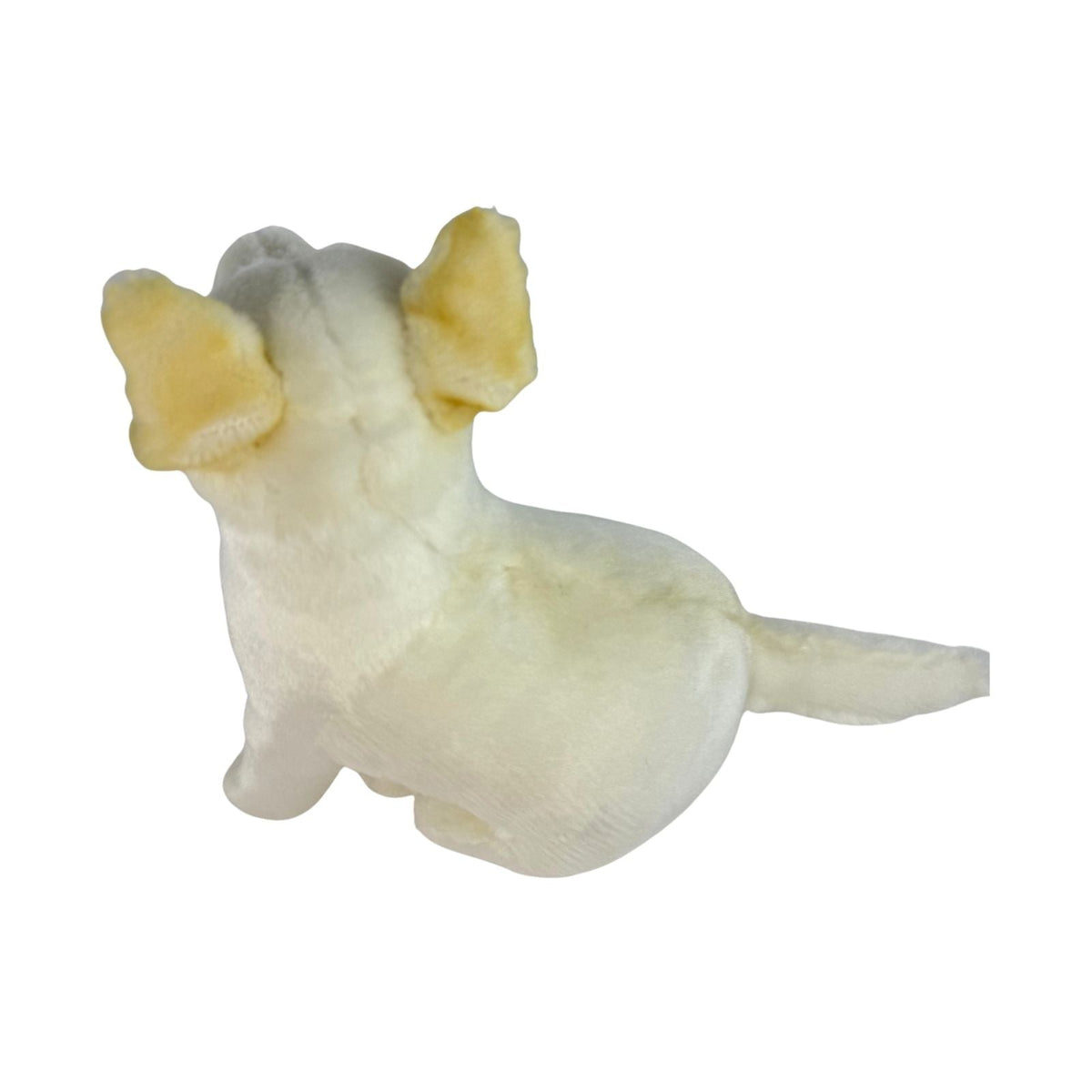 Bocchetta Ivory 25cm Sitting Dingo Plush Toy - White (Australian Stuffed Animal Souvenir Gift)