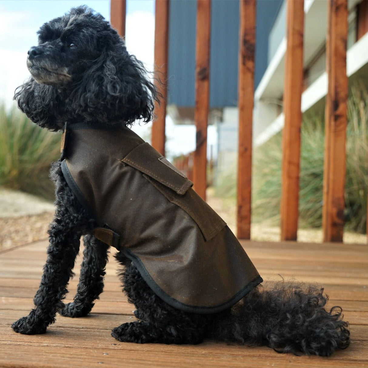 JACARU Wax Oil Skin Cotton Dog Coat Jacket Fully Lined Windbreaker Winter Vest - Brown