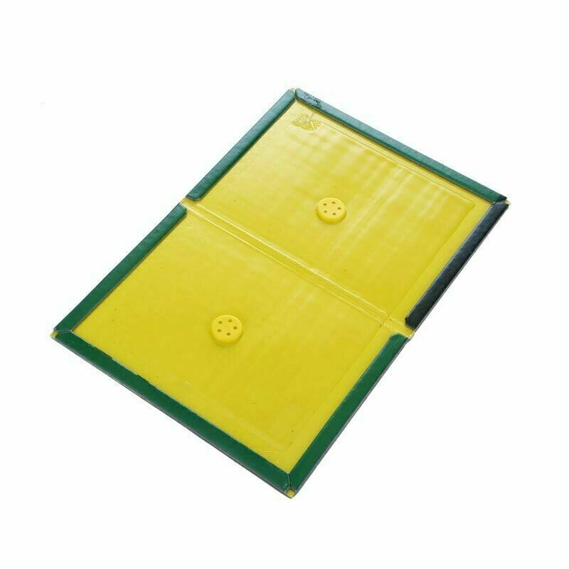 2x Rat & Mouse Lure Traps - Rodent/Bug/Cockroach/Mice Snare Sticky Pad Catcher