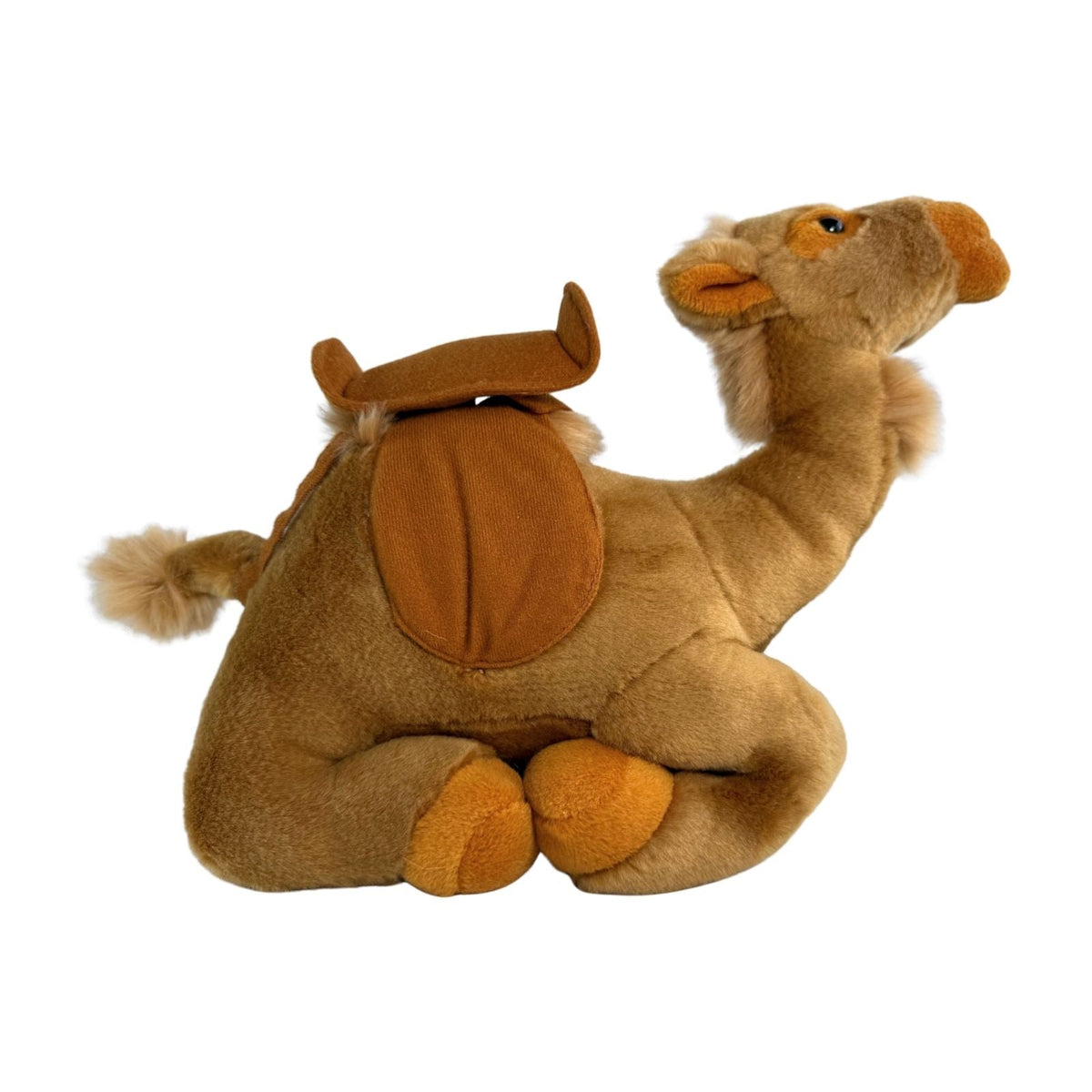Bocchetta Kimba 34cm Lying Camel Plush Toy (Australian Stuffed Animal Souvenir Gift)