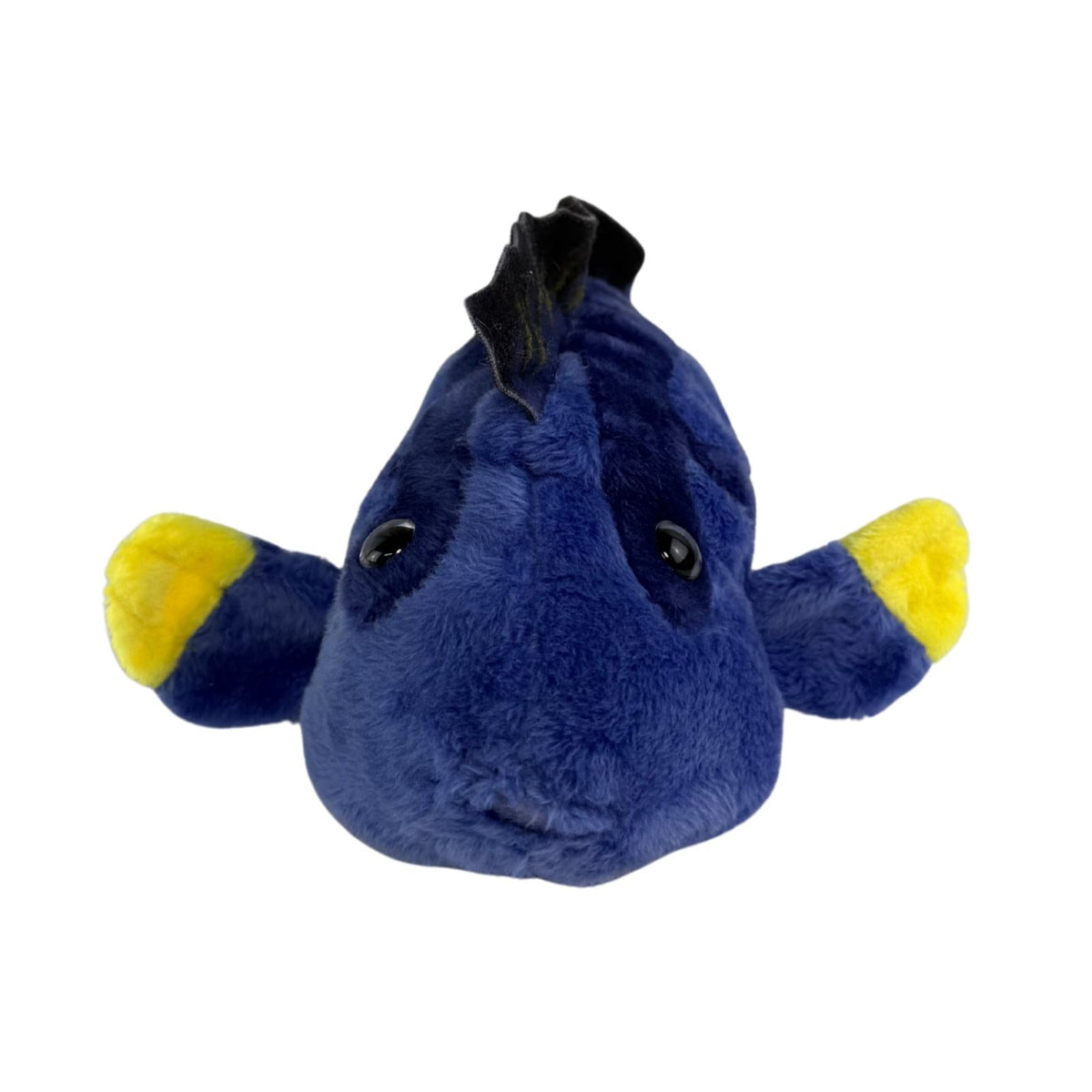 Bocchetta Koral 21cm Blue Tang Fish Plush Toy (Realistic Stuffed Animal Sea Life Gift)