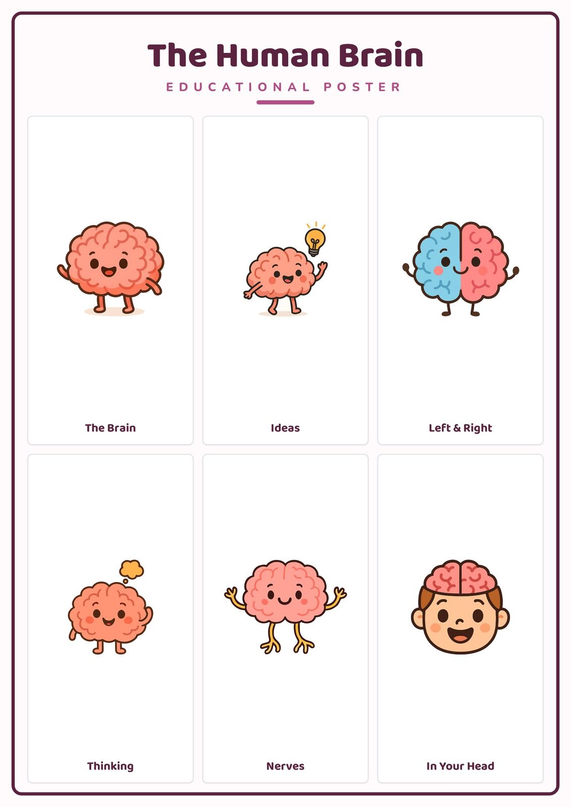 The Human Brain: A4 Matte Laminated Educational Poster Print - 210x297mm