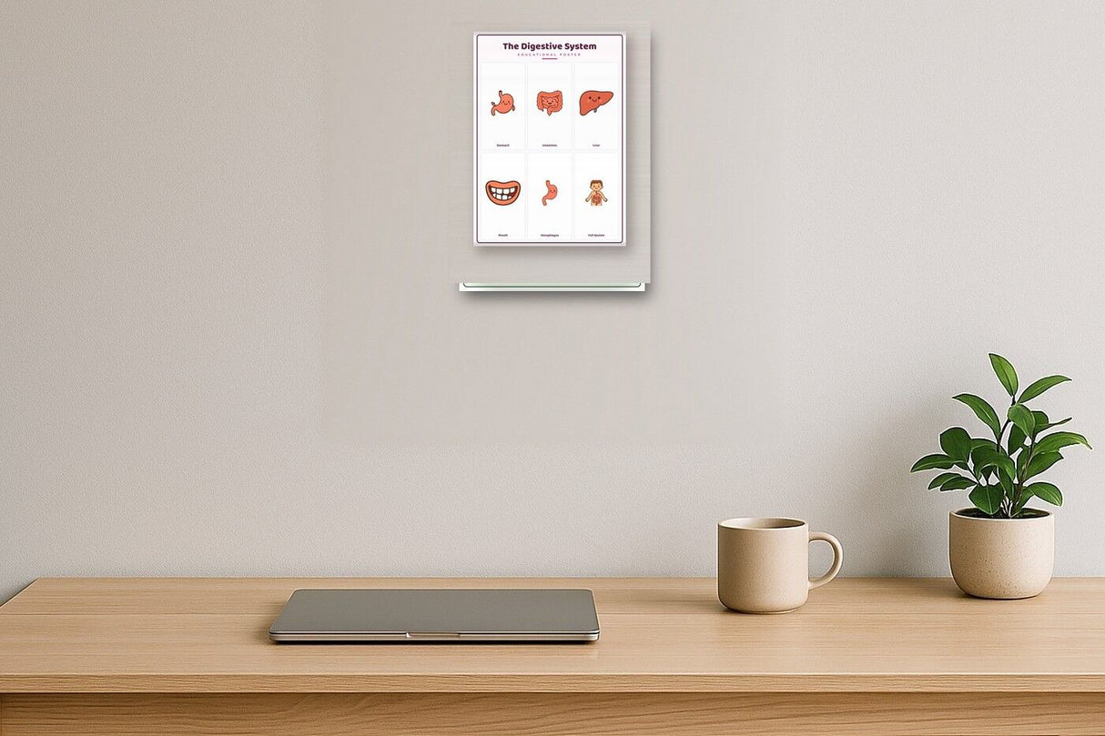 The Digestive System: A4 Matte Laminated Educational Poster Print - 210x297mm