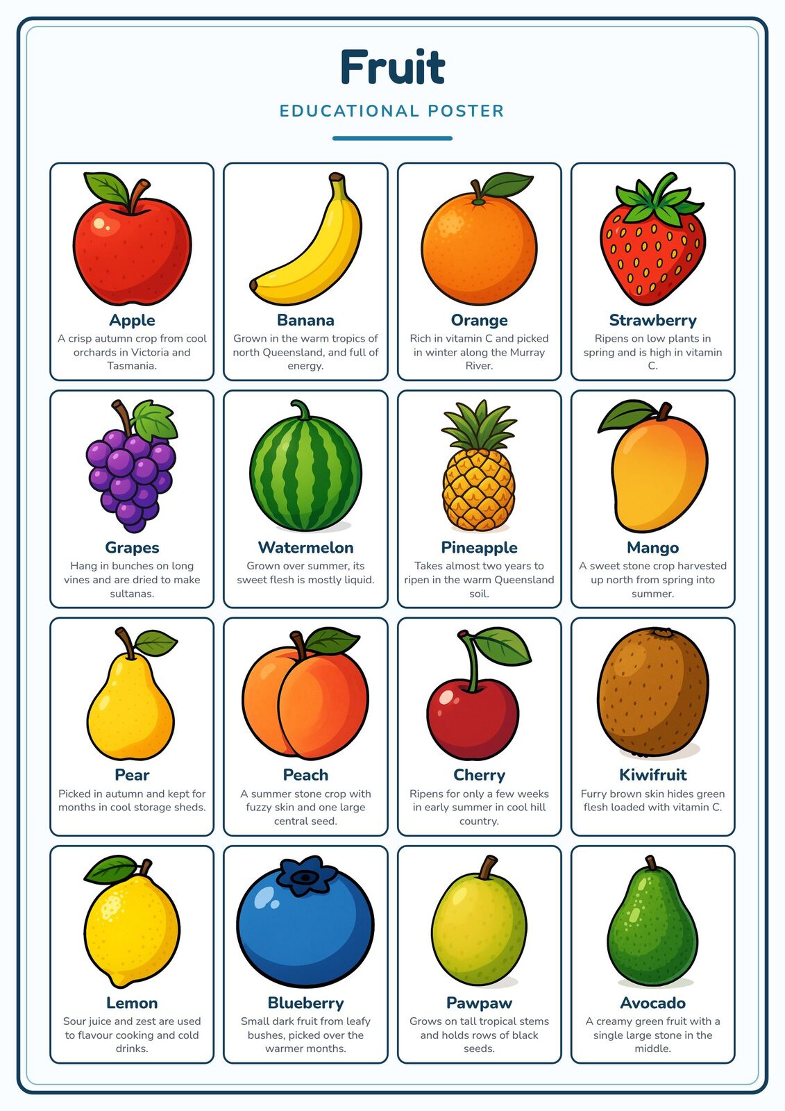 Fruit: A4 Matte Laminated Educational Poster Print - 210x297mm