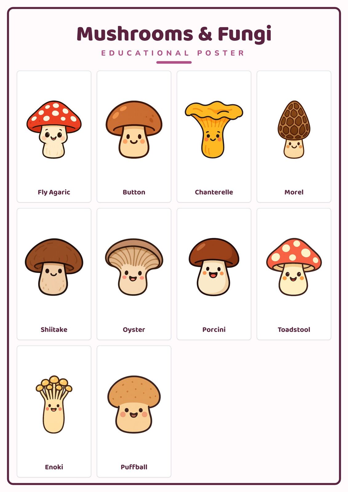Mushrooms & Fungi: A4 Matte Laminated Educational Poster Print - 210x297mm