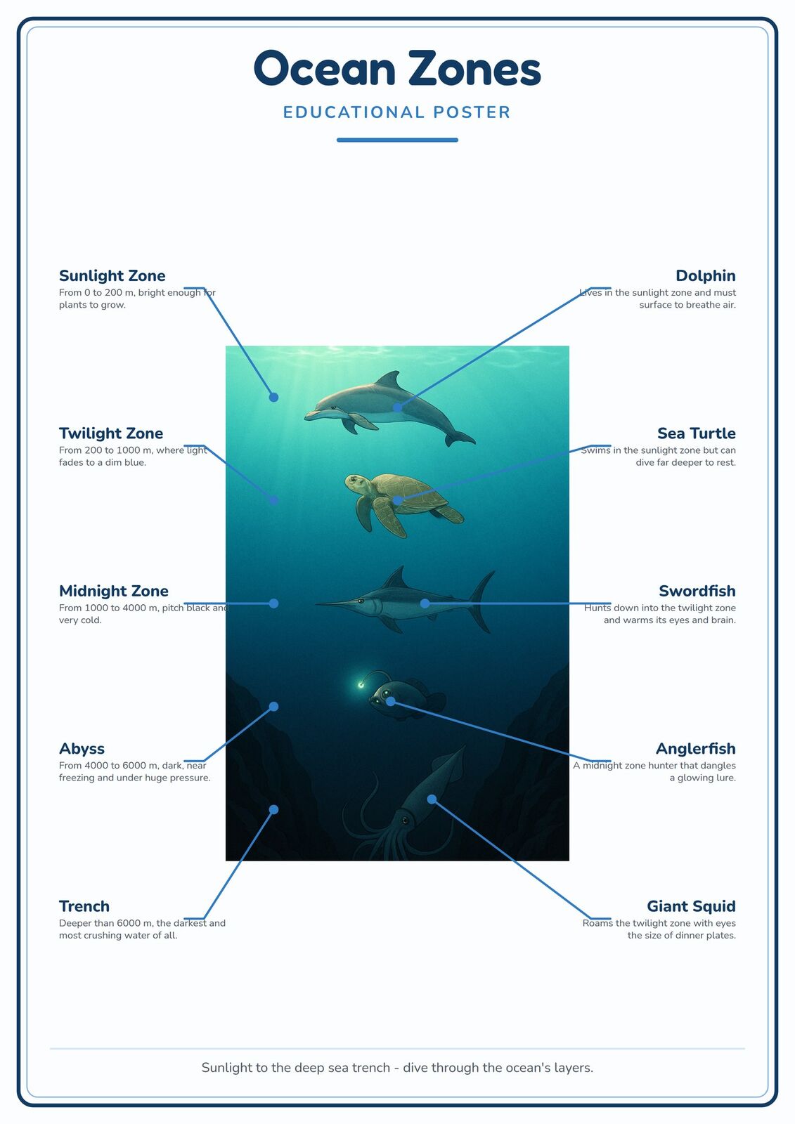 Ocean Zones: A4 Matte Laminated Educational Poster Print - 210x297mm