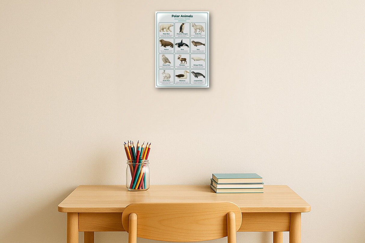 Polar Animals: A4 Matte Laminated Educational Poster Print - 210x297mm