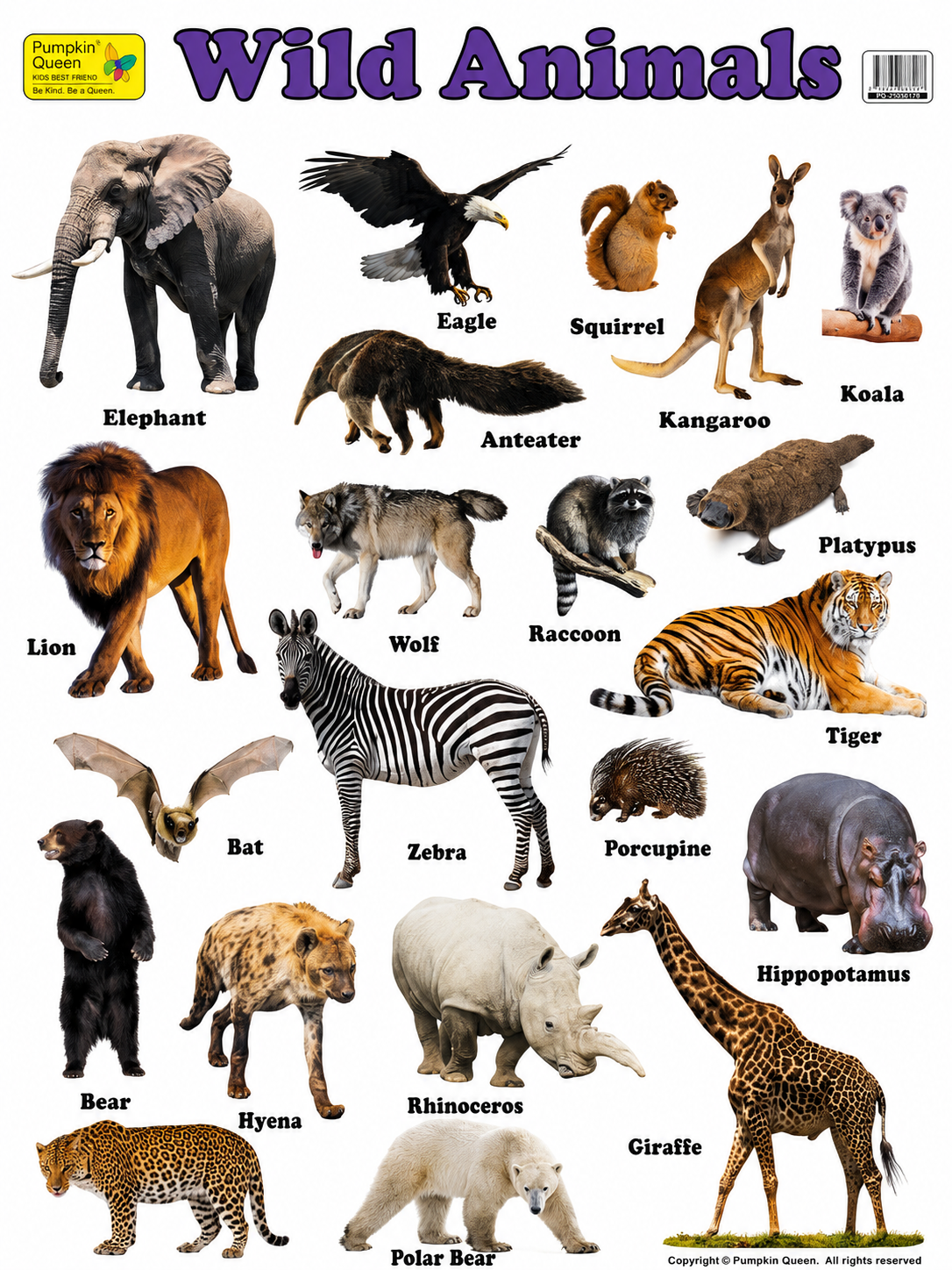 Large "Wild Animals" Educational Poster - 73x52cm Size - Portrait (Printed by Pumpkin Queen)