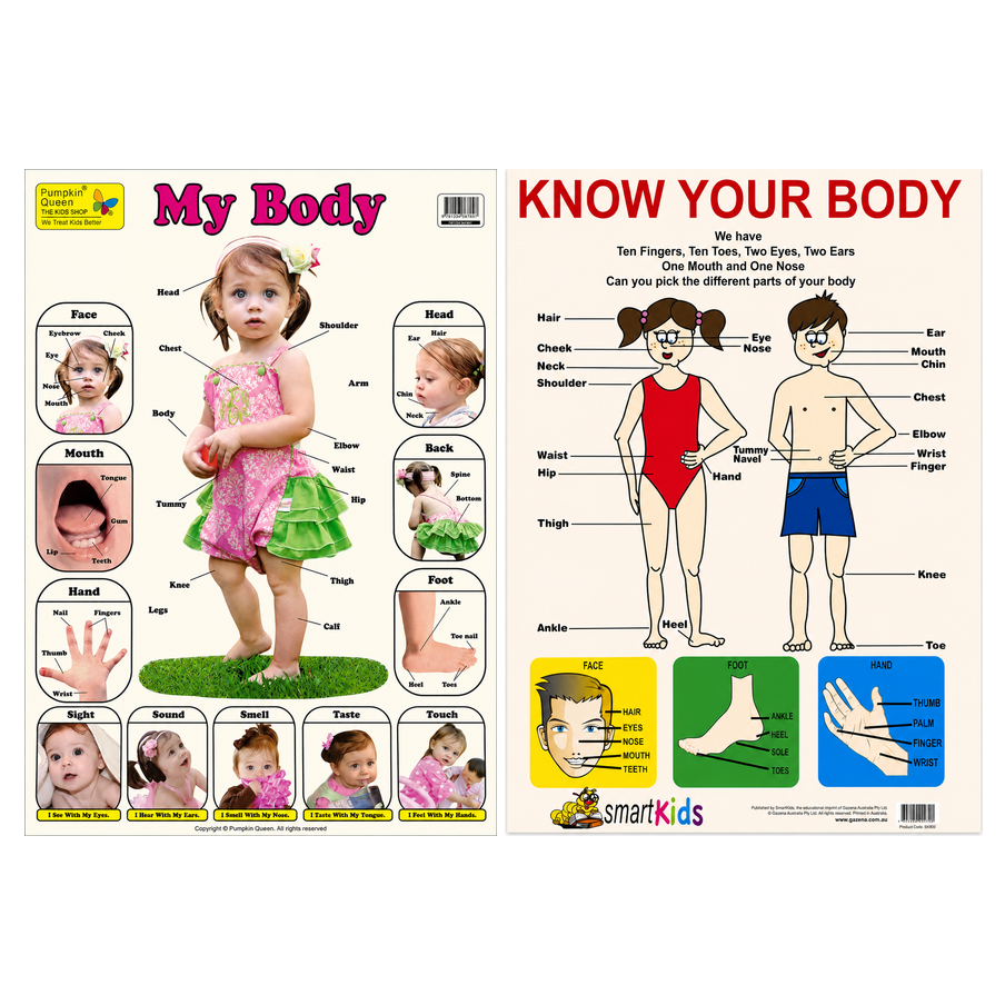 2-Pack "Human Body" Educational Posters - Mixed Sizes (73x52cm & A2)