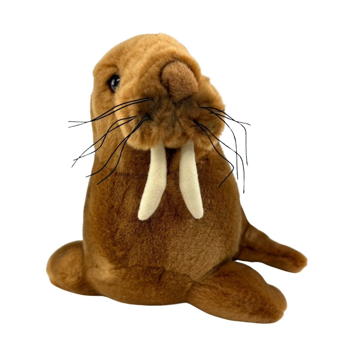 Bocchetta Leopold 26cm Walrus Plush Toy (Realistic Stuffed Animal Sea Life Gift)