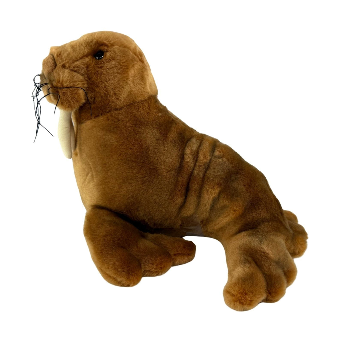 Bocchetta Leopold 26cm Walrus Plush Toy (Realistic Stuffed Animal Sea Life Gift)