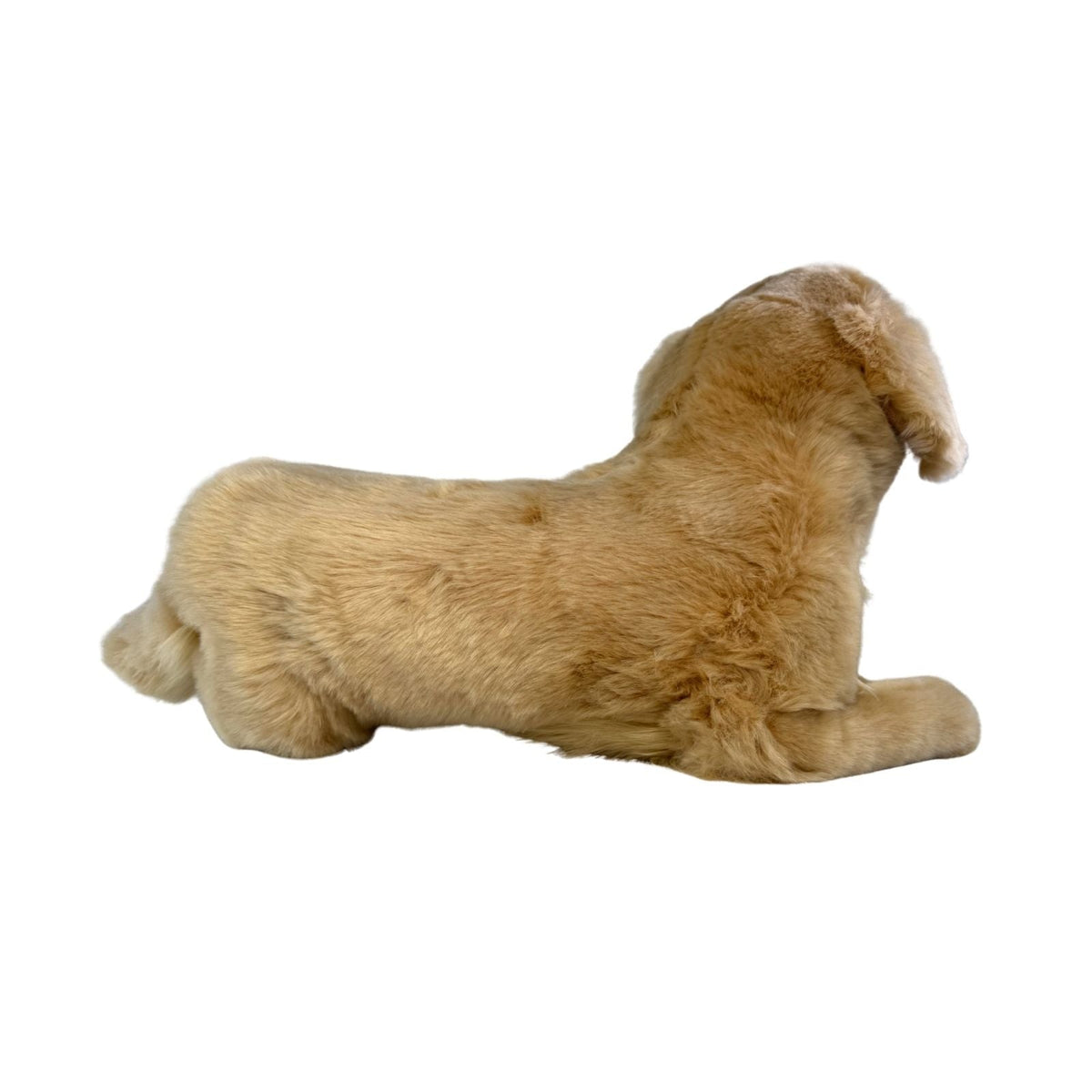 Bocchetta Lucky 50cm Lying Golden Retriever Plush Toy (Realistic Stuffed Animal Dog Gift)
