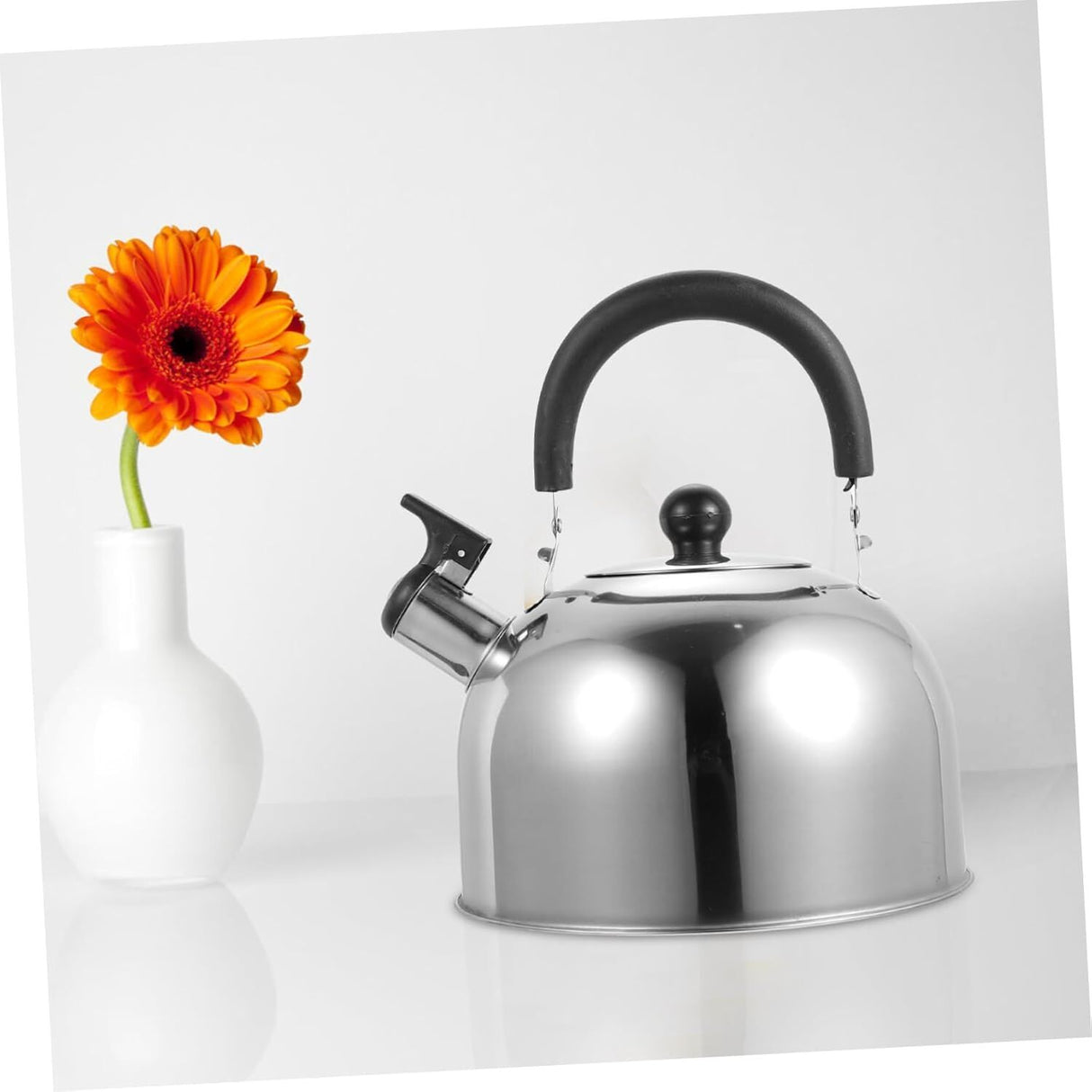 3.0L WHISTLING KETTLE Stainless Steel Camping Tea Kitchen Stove Top Camping Silver