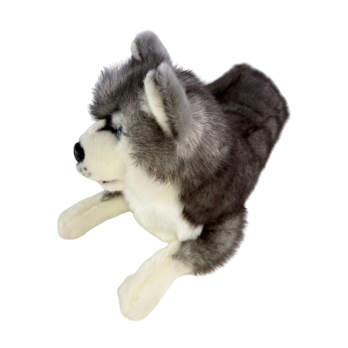Bocchetta Madison 40cm Lying Husky Plush Toy (Realistic Stuffed Animal Dog Gift)
