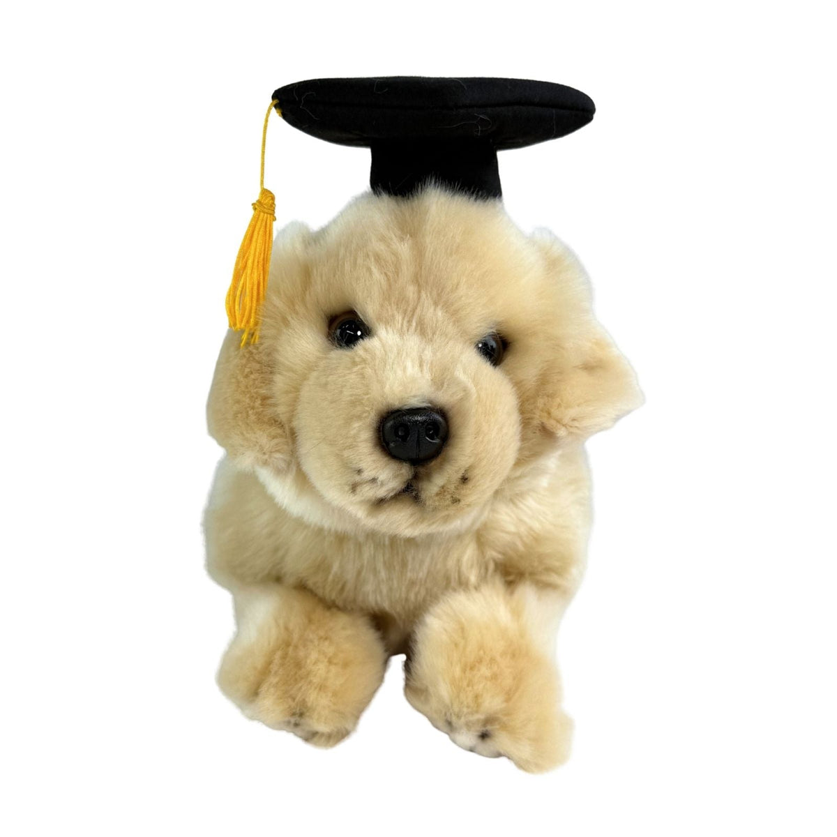 Bocchetta Maple 30cm Lying Graduation Golden Retriever Puppy Plush Toy (Stuffed Animal Dog Grad Gift)